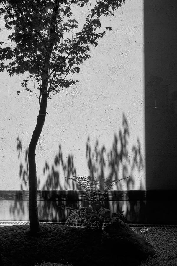 Wuz Kamogawa Villa Kyoto Exteriör bild